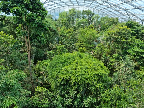 Nächtliche Abenteuer im Zoo
