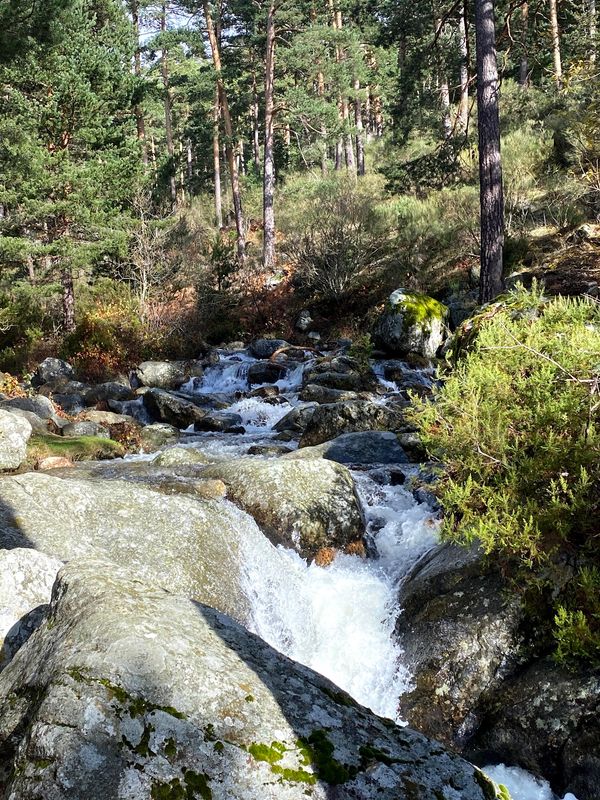 Erlebe die Wildnis Spaniens hautnah