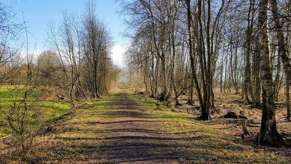 Faszinierende Moorlandschaft entdecken