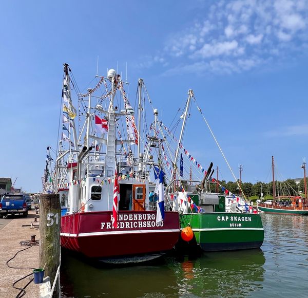 Traditionelle Kutterregatta erleben