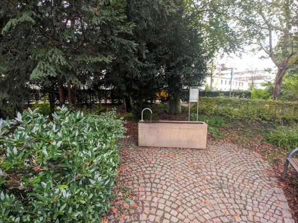 Frische Kneippkur im Stadtgarten