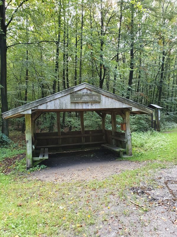 Naturerlebnisse im Königsdorfer Wald