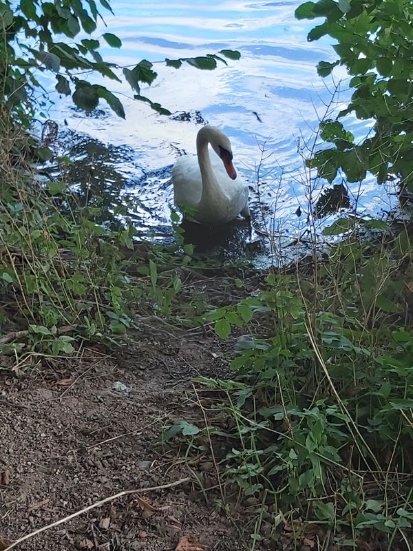 Entspannung pur am Wasser