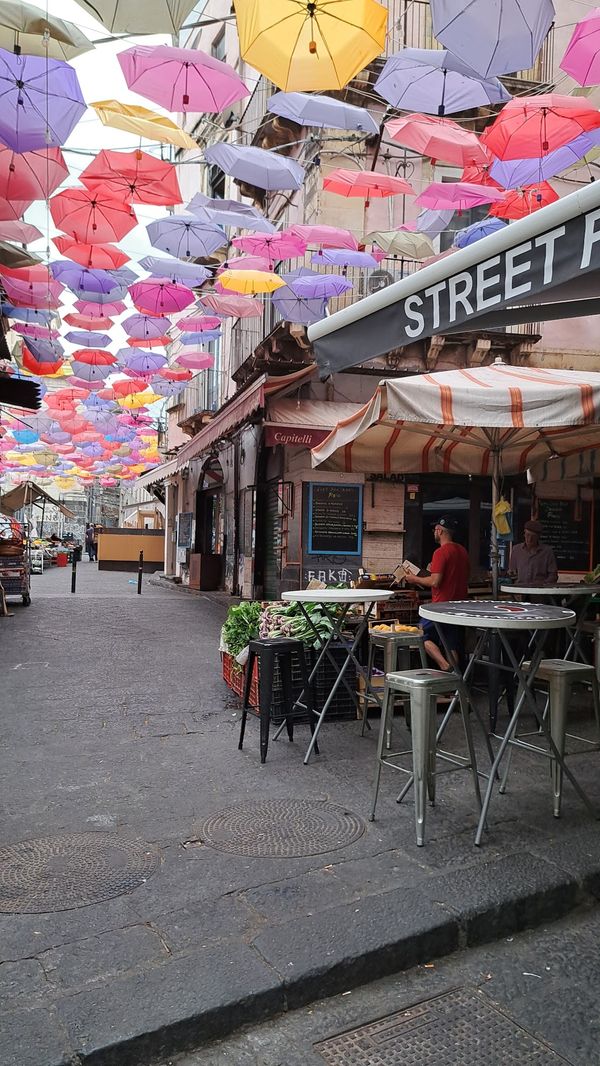 Lebendiger Fischmarkt mit lokalem Flair