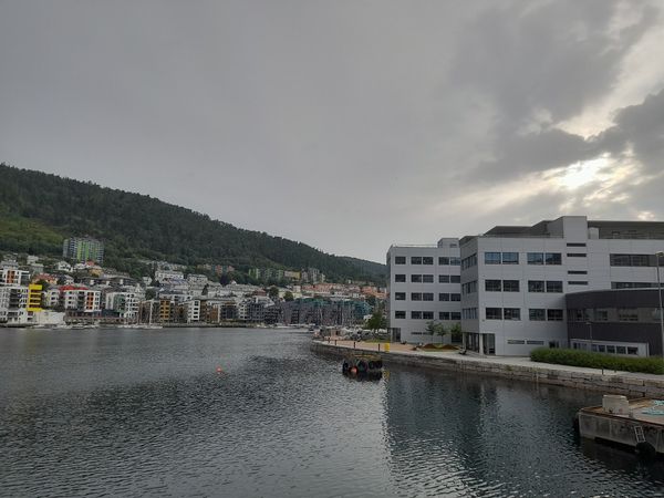 Kunstpfad entlang des Wassers erkunden