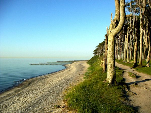 Mystische Atmosphäre beim Wandern