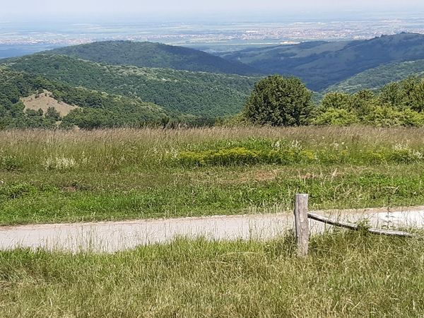 Naturparadies vor den Toren der Stadt