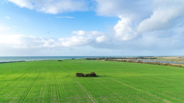 Durch gelbe Felder radeln