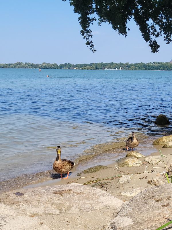 Perfekter Familientag am Wasser
