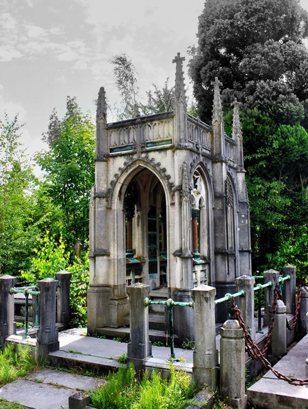 Natur übernimmt historischen Friedhof