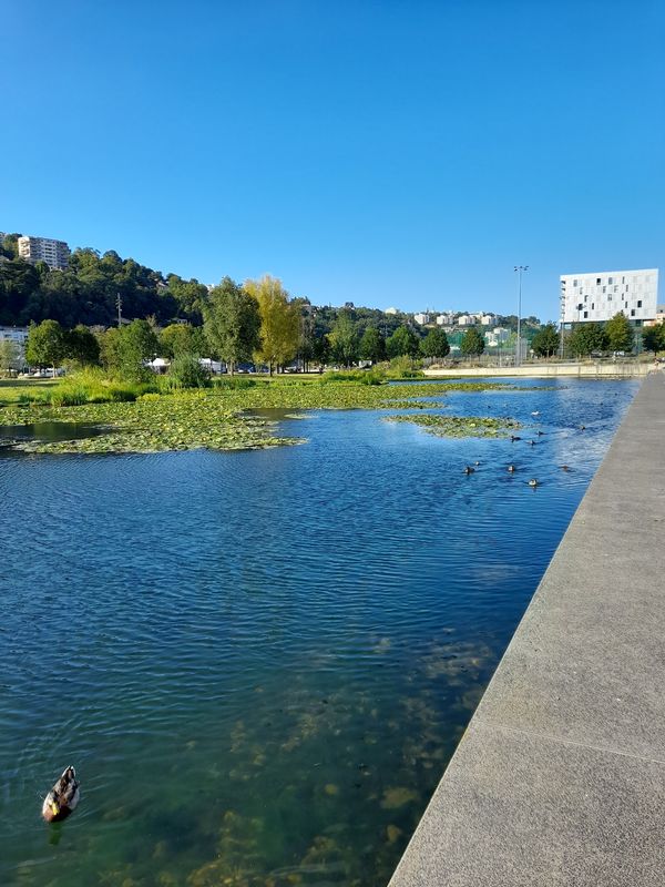 Modernes Lyon am Flussufer