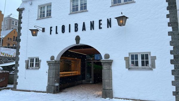 Atemberaubende Zugfahrt durch Fjorde