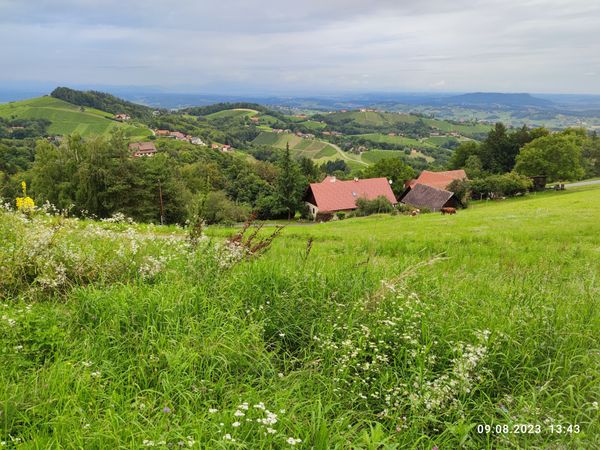 Panoramablicke & Schmetterlingswiesen