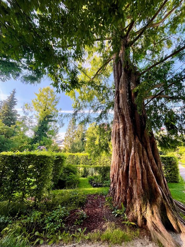 Frische Kneippkur im Stadtgarten