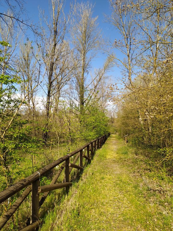 Entdecke unberührte Natur in Arnovecchio