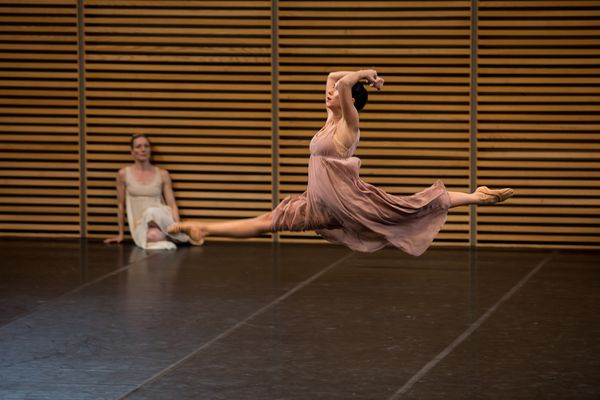 Erlebe faszinierende Tanzkunst live