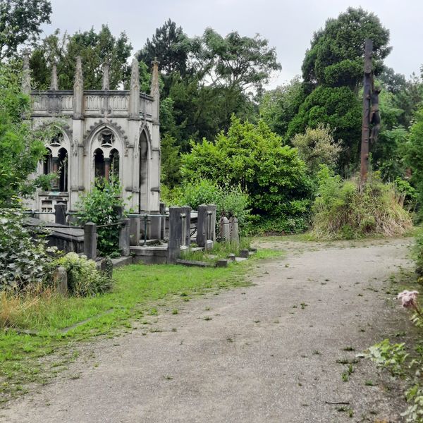 Natur übernimmt historischen Friedhof