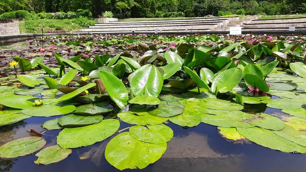 Größter botanischer Garten Rumäniens