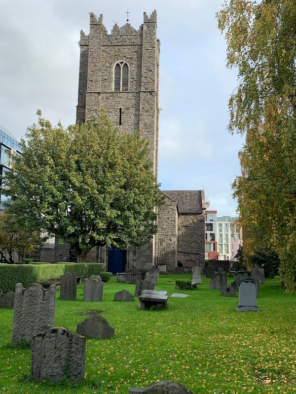 Erkunde geheimnisvolle Mumien unter Dublin