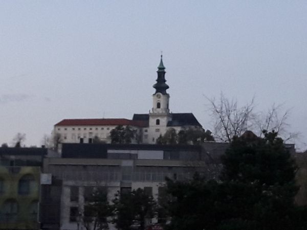 Lokale Delikatessen bei Nacht