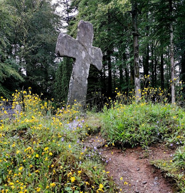 Zeitreise in eine uralte Stabkirche