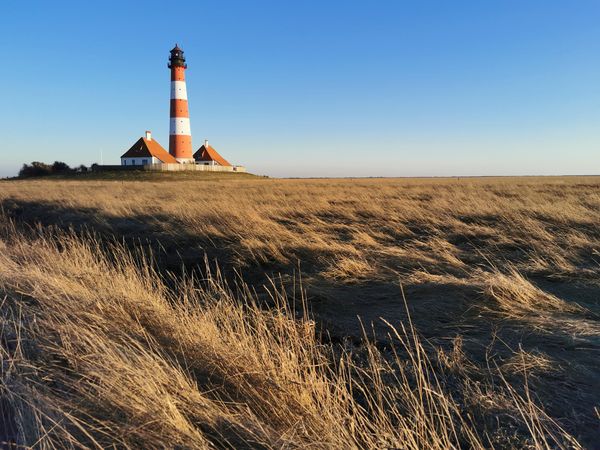 Einzigartiges Naturphänomen erleben