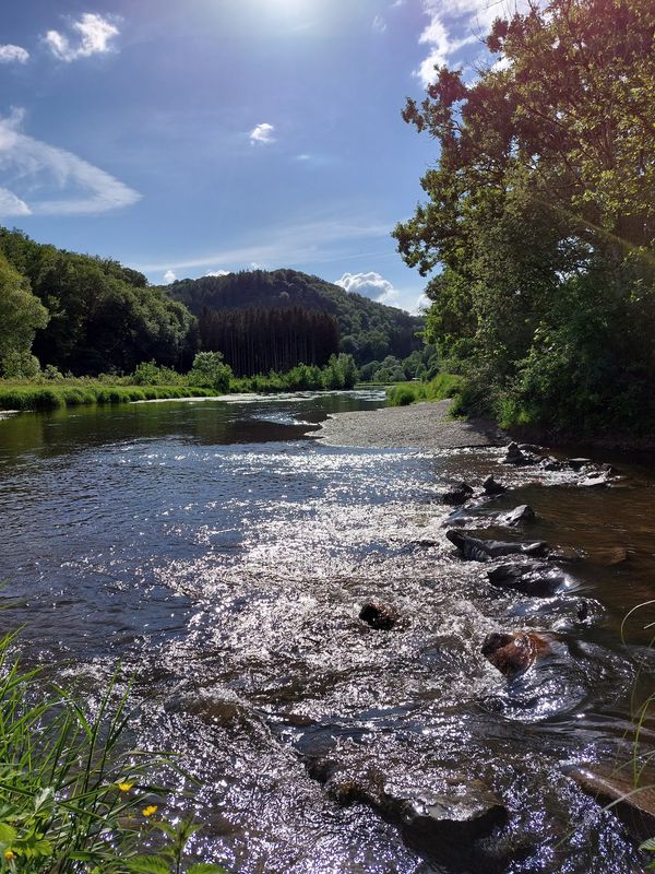 Naturschönheiten im Semois Tal
