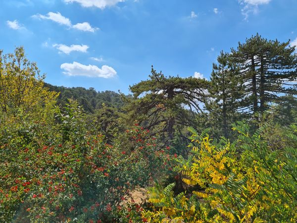 Wandern und Natur pur in Zyperns Gebirge