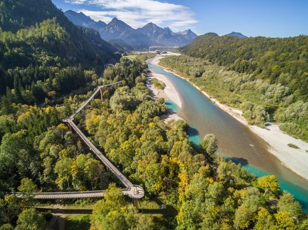 Abenteuer hoch in den Baumwipfeln