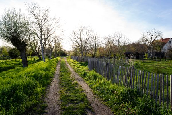 Spaziergang entlang des malerischen Gonsbachs