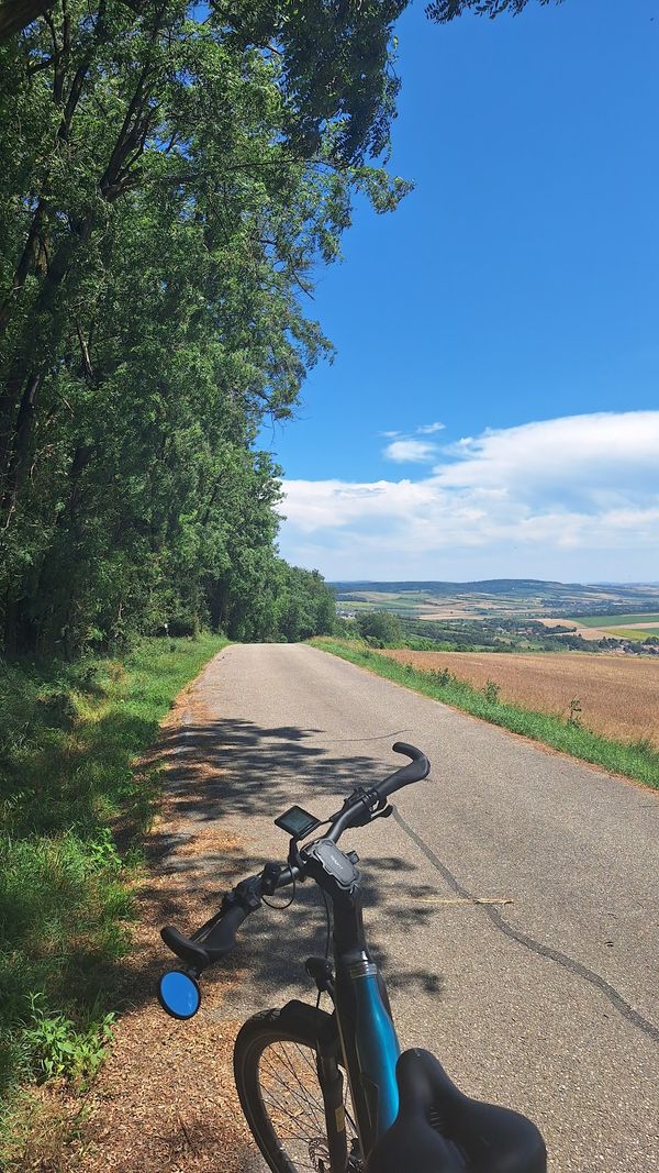 Atemberaubender Ausblick und idyllische Picknickmomente am Bründlberg