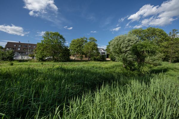 Spaziergang entlang des malerischen Gonsbachs