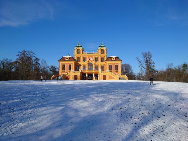 Wildtiere und Naturidylle entdecken