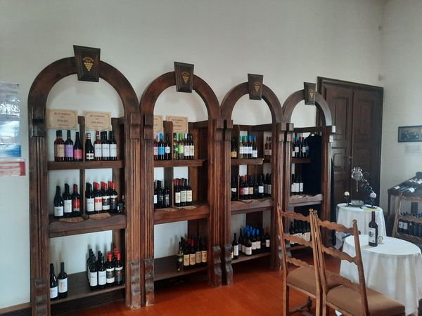 Edle Tropfen aus der Villány-Region
