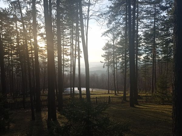 Naturerlebnisse und Wanderungen