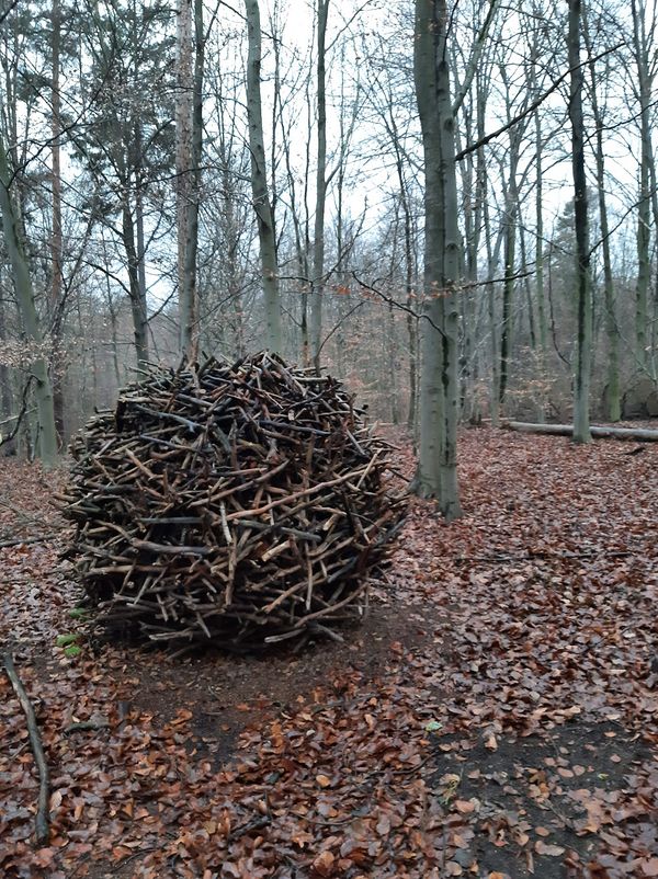 Natur pur am Stadtrand