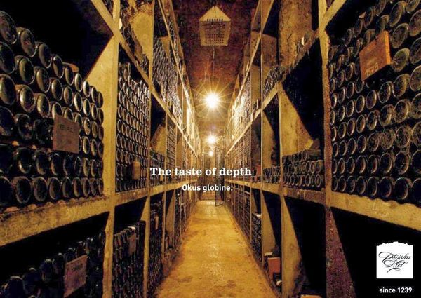 700 Jahre Weintradition entdecken