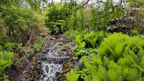 Oase der Ruhe und Schönheit