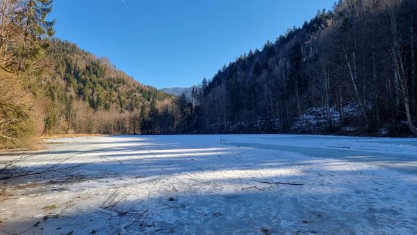 Historische Entdeckungen bei der Burgruine