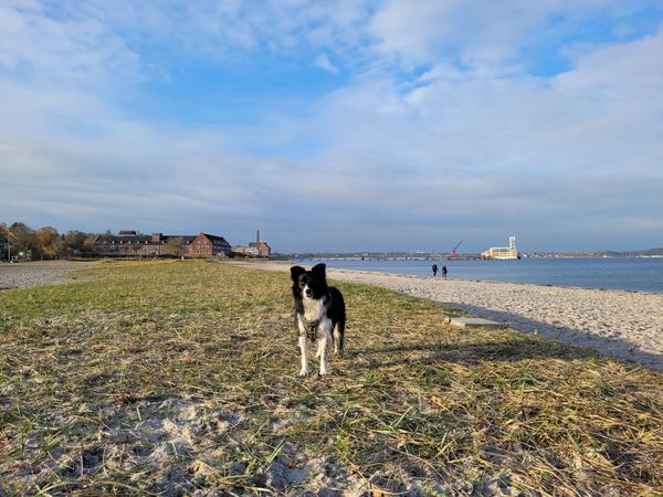 Naturbelassene Freiheit am Südstrand 