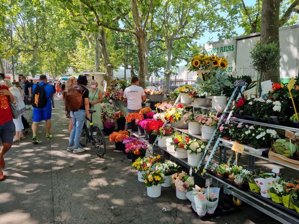 Marktflair mit Meeresfrüchten genießen