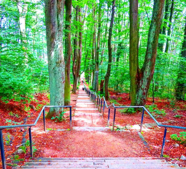 Atemberaubende Aussichten vom Görlitzer Hausberg