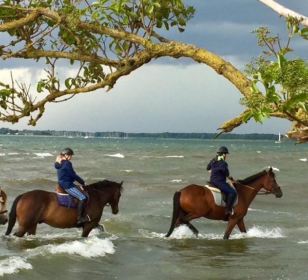 Reitabenteuer in idyllischer Natur