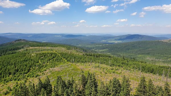 Wandern im grünen Herz Europas