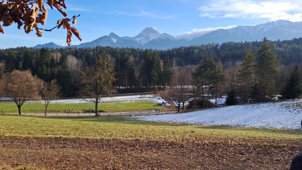 Märchenhafte Kinderwanderung