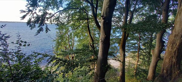 Natur pur in Sieberts Wald entdecken
