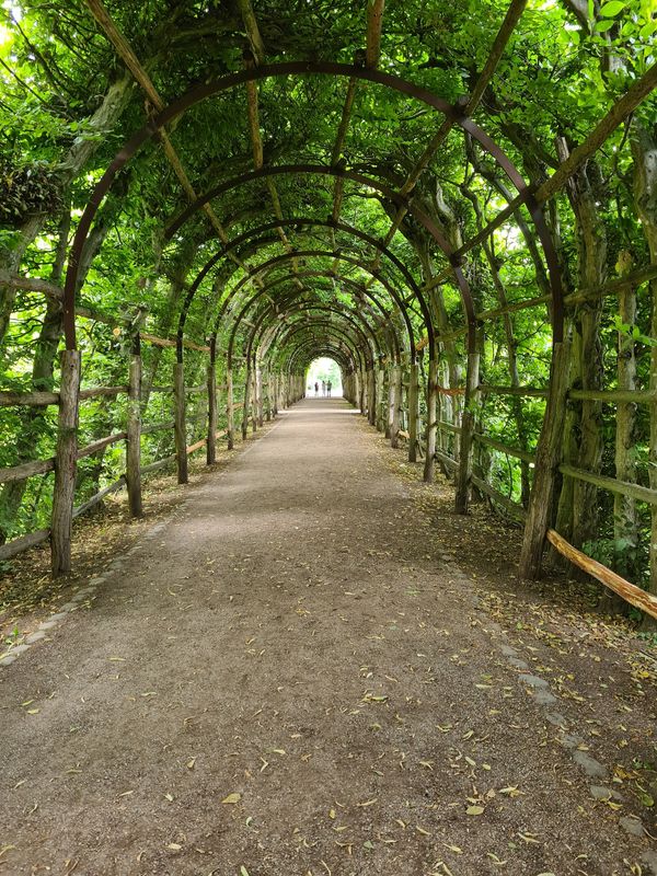 Verirr dich im märchenhaften Garten