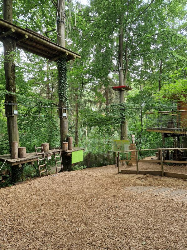 Hoch hinaus im Kletterpark