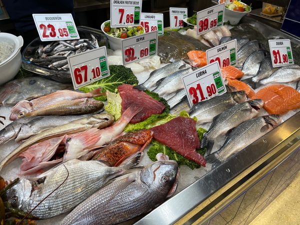 Frischen Fisch direkt vom Markt