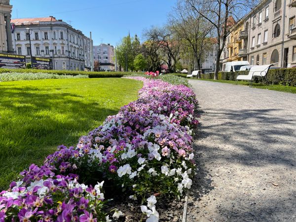 Kunst und Kultur in Osijek